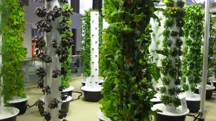 in-store-farm-ohare-airport-chicago-1