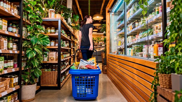 capacidad de la cesta de compra SB capacidad-de-la-cesta-de-compra-SB