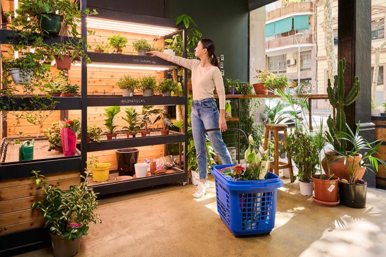 como elegir la cesta para tu tienda SB como-elegir-la-cesta-para-tu-tienda-SB