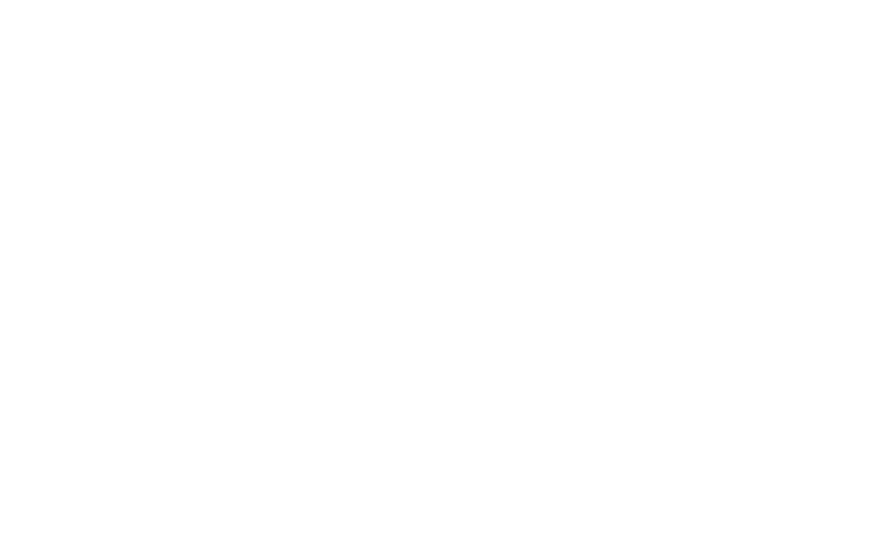 icono 1